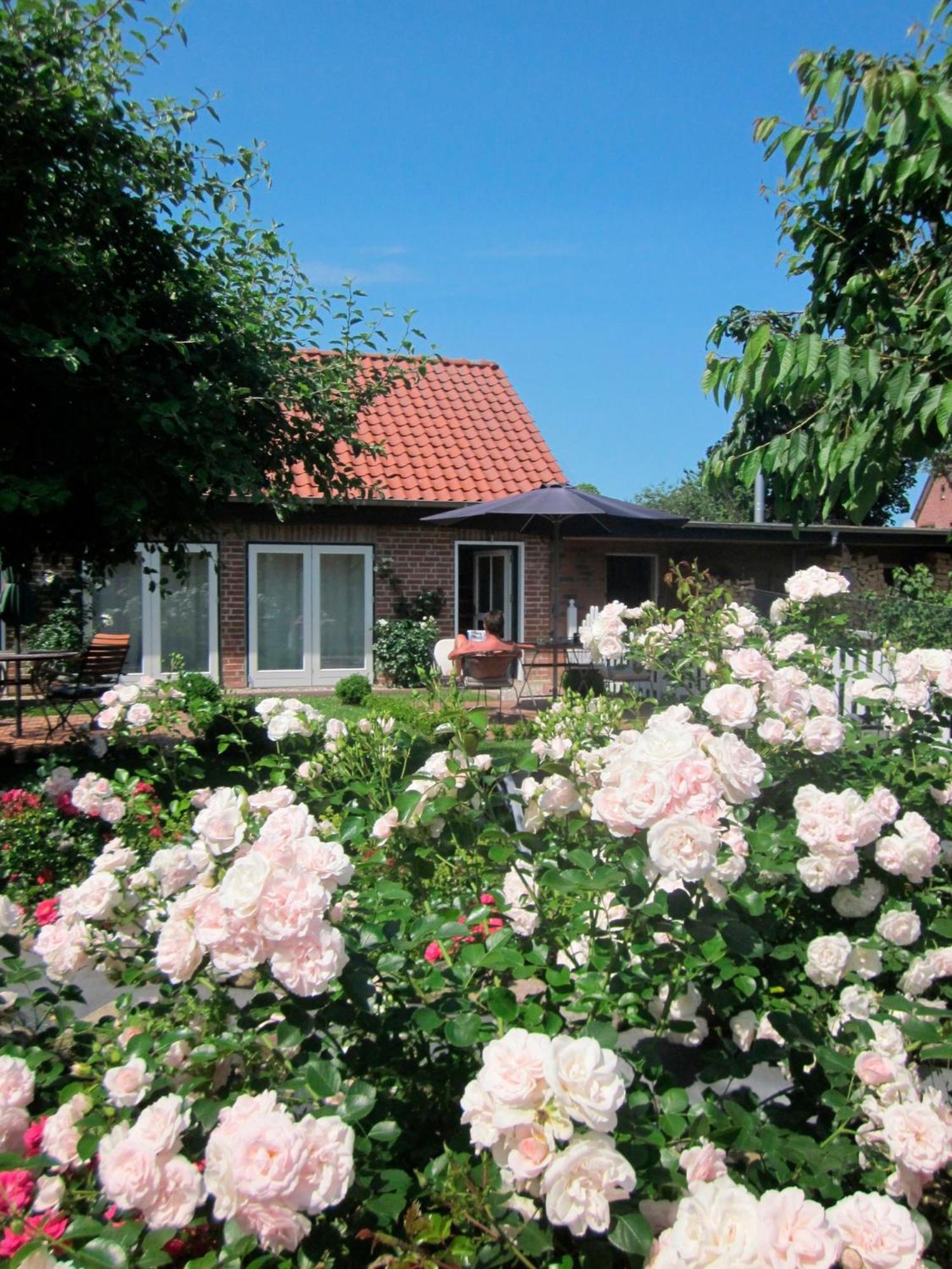 "Rosenkate 1" Leilighet Riepsdorf Eksteriør bilde